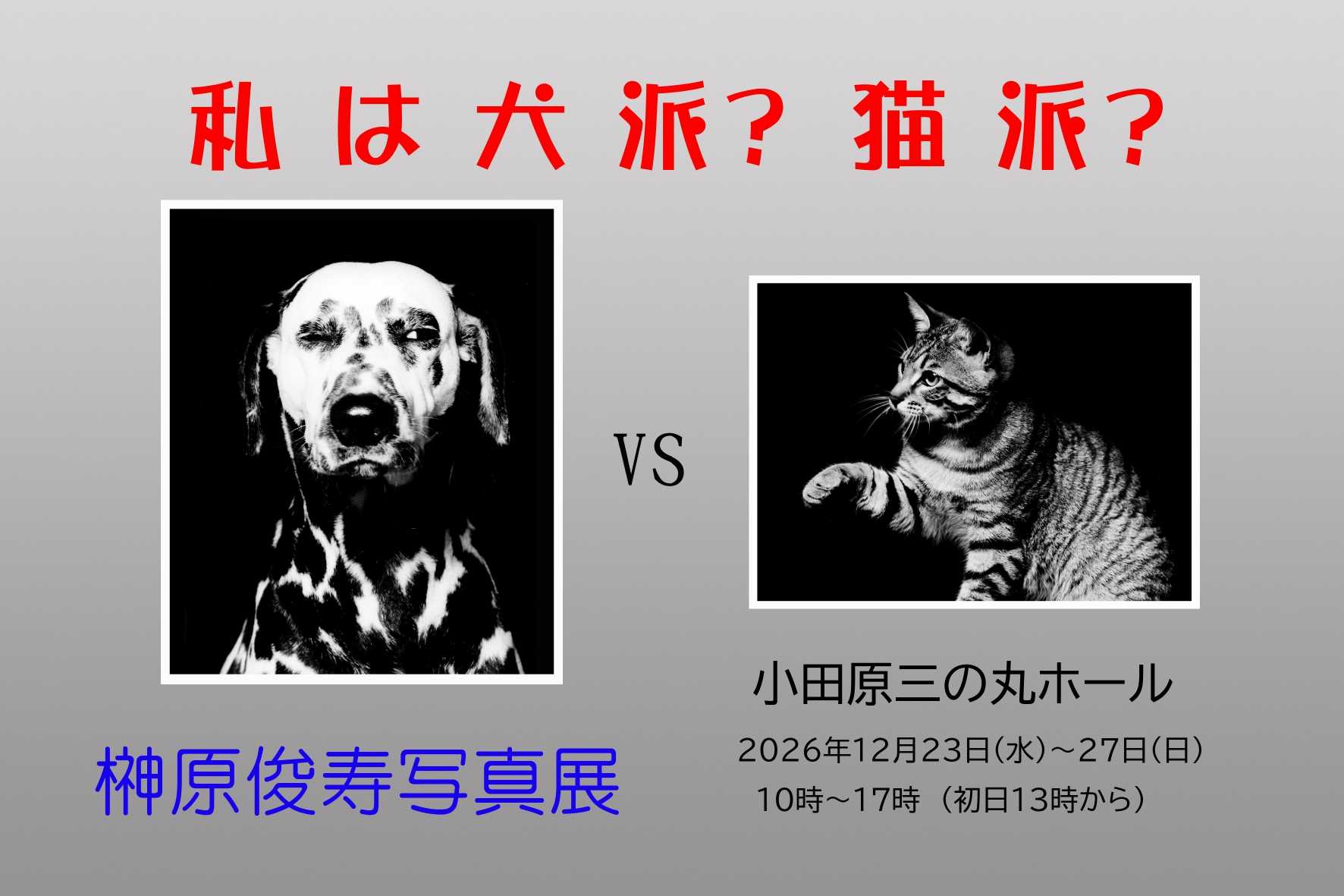 私は犬派？ 猫派？　榊原俊寿写真展